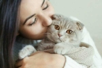 International Cat Day, International Cat Day, international cat day reasons why being a cat owner is good for health, Cat video