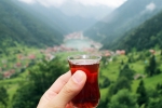 International Tea Day news, International Tea Day significance, international tea day 2025 facts and significance, Charmi