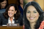 gabbard, Kamala Harris, kamala harris tulsi gabbard to begin campaign in february, Oklahoma gabbard, Kamala Harris, kamala harris tulsi gabbard to begin campaign in february, Oklahoma