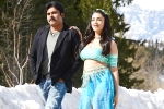 Katamarayudu collections, Katamarayudu latest, katamarayudu first weekend collections, Katamarayudu