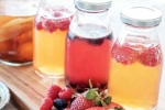 Kombucha and Fermented Foods breaking, Kombucha and Fermented Foods, health benefits of kombucha and fermented foods, Diet