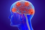 Coronavirus impact on brain, Coronavirus latest news, coronavirus can cause long term loss of brain tissue, Former un chief