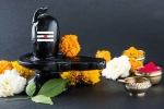 Lord Shiva, Maha Shivratri 2019, maha shivratri 2019 visit these lord shiva temples to witness best of the maha shivratri, Maha shivratri Lord Shiva, Maha Shivratri 2019, maha shivratri 2019 visit these lord shiva temples to witness best of the maha shivratri, Maha shivratri
