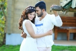 SS Thaman, Mahanubhavudu latest, mahanubhavudu ten days collections, Mahanubhavudu SS Thaman, Mahanubhavudu latest, mahanubhavudu ten days collections, Mahanubhavudu