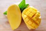 chemicals in mangoes, artificially ripened mangoes, mouth watering mangoes may contain cancer causing chemicals, Eye damage