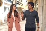 Manmadhudu 2 telugu movie review, Manmadhudu 2 movie review, manmadhudu 2 movie review rating story cast and crew, Avanthika Manmadhudu 2 telugu movie review, Manmadhudu 2 movie review, manmadhudu 2 movie review rating story cast and crew, Avanthika
