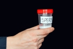 Men Sperm for Future Fertility Planning, Men Sperm for Future Fertility Planning, should men preserve sperm for future fertility planning, Sultan