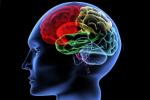 Iowa State University, mental activity, brain use it or lose it, Alzheimer s disease