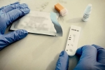 Prototype Vaccine, Coronavirus, monkeys get protection against coronavirus through a prototype vaccine, Monkeys Prototype Vaccine, Coronavirus, monkeys get protection against coronavirus through a prototype vaccine, Monkeys