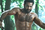 Ramaraju for Bheem teaser update, RRR updates, ramaraju for bheem ntr s deadly transformation as komaram bheem, Best actors