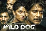 Wild Dog release poster, Wild Dog new updates, release date of nag s wild dog is out, Saiyami kher