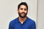 Pooja Hegde, Srinivasaa Chitturi, change of plans for naga chaitanya, Romantic comedy