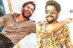 Naga Chaitanya news, Naga Chaitanya new projects, naga chaitanya gearing up with two films, Sushanth