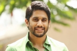 Naga Chaitanya next film, Merlapaka Gandhi, naga chaitanya signs his next, Yuddham saranam Naga Chaitanya next film, Merlapaka Gandhi, naga chaitanya signs his next, Yuddham saranam