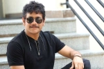 Nagarjuna next film, Nagarjuna Akhil movie, nagarjuna s 100th film locked, Bangarraju