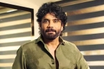 Nagarjuna Personal Rights updates, Nagarjuna Personal Rights updates, delhi high on nagarjuna s personal rights, Aishwarya rai bachchan Nagarjuna Personal Rights updates, Nagarjuna Personal Rights updates, delhi high on nagarjuna s personal rights, Aishwarya rai bachchan