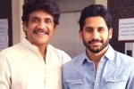 Nagarjuna latest, Nagarjuna tweets, nagarjuna s clarification on naga chaitanya s divorce, Nagarjuna akkineni