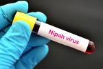 suspected Nipah Virus, suspected Nipah Virus, nipah virus is back again two deaths registered, World health organization