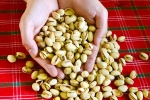 Pistachios in proteins, Pistachios rich in proteins, pistachios are a perfect protein snack, Catherine
