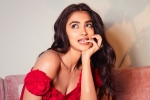 Pooja Hegde hits, Pooja Hegde upcoming, pooja hegde in talks for a biggie, Ssmb28