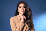 Pooja Hegde new projects, Pooja Hegde upcoming films, pooja hegde lines up bollywood films, Bollywood films