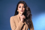 Pooja Hegde upcoming movies, Pooja Hegde lineup, pooja hegde lines up bollywood films, Shahid kapoor