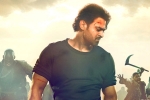 Saaho news, Saaho, saaho trailer prabhas ready with one more winner, Look stunning