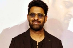 Prabhas Vintage King release date, Prabhas Vintage King business, interesting title for prabhas next, Zarina wahab