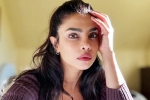 Don't Look For Virgin Wife comment, Don't Look For Virgin Wife comment, priyanka chopra breaks silence on don t look for virgin wife comment, Marry