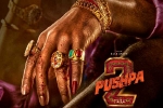 Allu Arjun, Pushpa: The Rule shoot, allu arjun s dedication for pushpa the rule, Anasuya