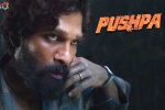 Allu Arjun latest, Allu Arjun latest, pushpa to be released in two installments, Puspha