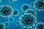 R.1 Coronavirus updates, R.1 Coronavirus cases, r 1 variant of coronavirus traced in 35 countries, Coronavirus in usa