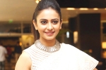 Harish Shankar, Dil Raju, rakul preet s multi starrer, Actress rakul preet singh