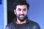 Ranbir Kapoor new film, Ranbir Kapoor latest, ranbir kapoor s cameo in srk s next, Ae dil hai mushkil