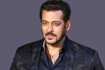 salman khan brothers, salman khan wiki, audience s love respect matter more than stardom salman khan, Taurani