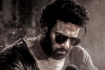 Salaar 2 budget, Salaar 2 release date, new update from salaar 2, Hombale films