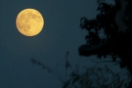 Supermoon, Supermoon 2025 new updates, science behind supermoon explained, Supermoon Supermoon, Supermoon 2025 new updates, science behind supermoon explained, Supermoon