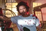 Shah Rukh Khan updates, Shah Rukh Khan next movie, shah rukh khan to play a don in king, Srk