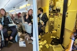 Singapore Airlines accident, Singapore Airlines turbulence horror injured, one dead and 30 injured in singapore airlines turbulence horror, Varna Singapore Airlines accident, Singapore Airlines turbulence horror injured, one dead and 30 injured in singapore airlines turbulence horror, Varna