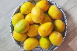 Soak Mangoes before eating, Soak Mangoes 30 minutes, soak mangoes for 30 minutes before eating, Inflammation Soak Mangoes before eating, Soak Mangoes 30 minutes, soak mangoes for 30 minutes before eating, Inflammation