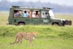 South African Safari Trip total video, South African Safari Trip places, how to plan your south african safari trip, Shoes