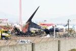 South Korea Plane Crash latest update, South Korea Plane Crash deaths, pilot made mayday call and mentioned bird strike in south korea plane crash, South korea plane crash