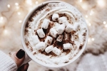 hot drink, chocolate, spend christmas this year with the best hot cocoa, Vanilla