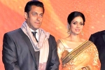 Sridevi latest updates, Salman Khan news, sridevi to work with salman khan, English vinglish
