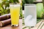 Sugarcane Juice, Sugarcane Juice Vs Coconut Water hydration, sugarcane juice vs coconut water which is hydrating, Paris