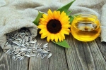 Sunflower seeds latest, Sunflower seeds nutritional benefits, sunflower seeds and their nutritional benefits, Healthy breakfast Sunflower seeds latest, Sunflower seeds nutritional benefits, sunflower seeds and their nutritional benefits, Healthy breakfast