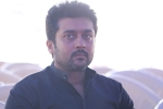 Suriya on PETA, Suriya updates, suriya s legal notice on peta, Jallikattu Suriya on PETA, Suriya updates, suriya s legal notice on peta, Jallikattu