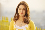 Tamannaah new movie, Tamannaah updates, tamannaah locked for a bollywood remake, Milky beauty Tamannaah new movie, Tamannaah updates, tamannaah locked for a bollywood remake, Milky beauty