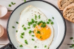 cholesterol, health benefits, top 5 benefits of eggs that ll make you to eat them every day, Calories