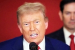 Steve Hanke about Donald Trump, Steve Hanke on India tariff, top us economist on trump s tariff war with india, Perc